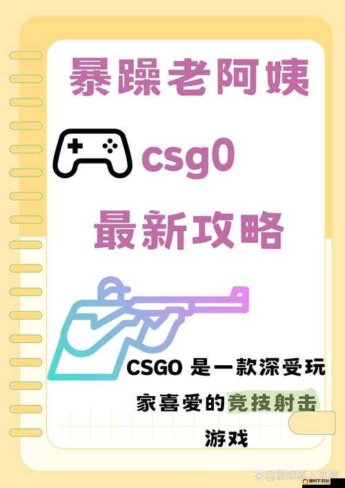 双人暴躁老阿姨 CSGO 激情对战热血沸腾